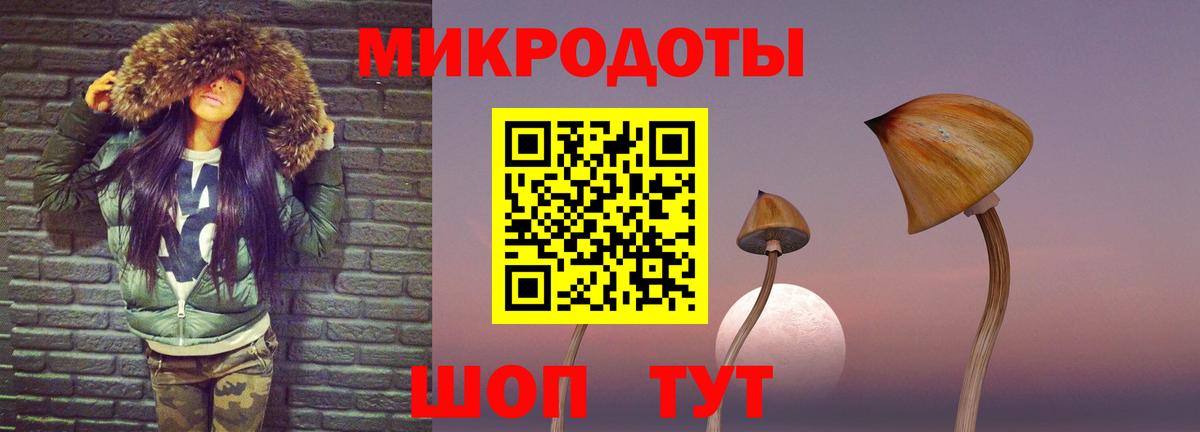 Качканар  где купить наркоту  Псилоцибиновые грибы мухоморы  Вход с VPN  Псилоцибиновые грибы GOLDEN TEACHER 