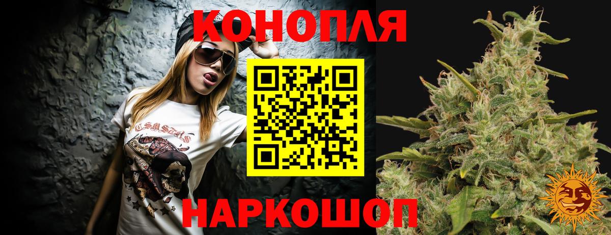 Качканар  Бошки марихуана планчик  Бошки Шишки AK-47  Марихуана ГИДРОПОН  Вход с VPN 